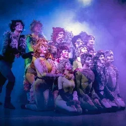 Афиша: Кошки в Санкт-Петербурге 11 октября 2026