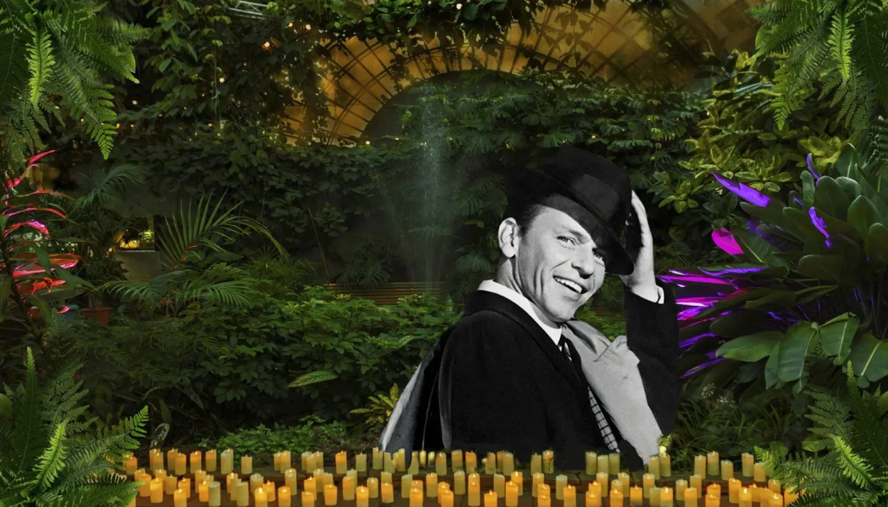 Афиша: Магия свечей. Frank sinatra. Джаз в оранжерее в Санкт-Петербурге 23 августа 2026