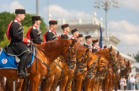 Афиша: Линии истории в Москве 15 августа 2026