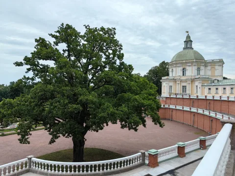 Афиша: Великолепие парка Ораниенбаума в Санкт-Петербурге 4 августа 2026