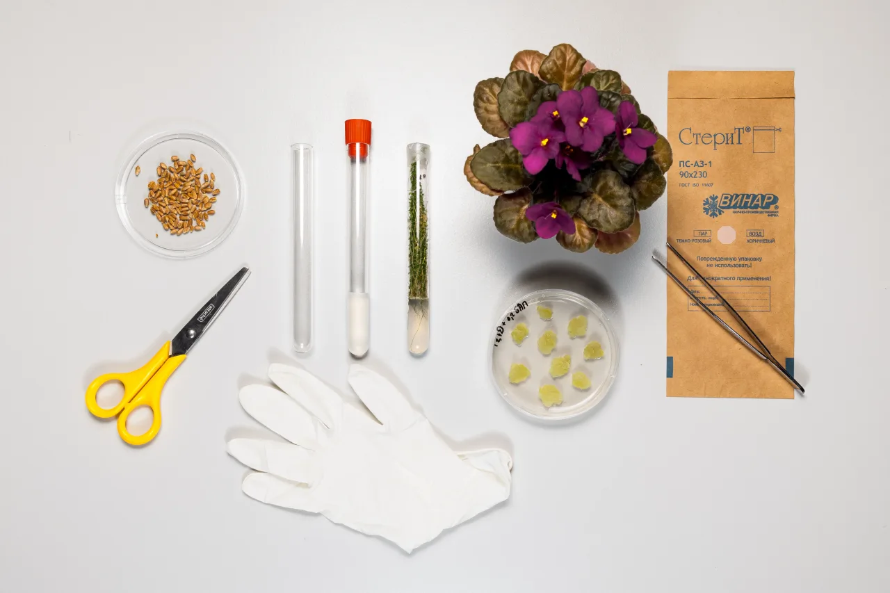 Афиша: Космический сад в Москве 10 августа 2026