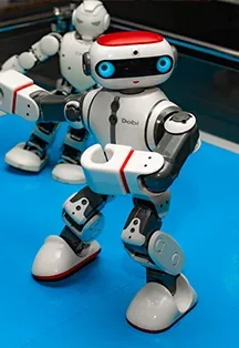 Афиша: Роботы в Сочи 10 августа 2026