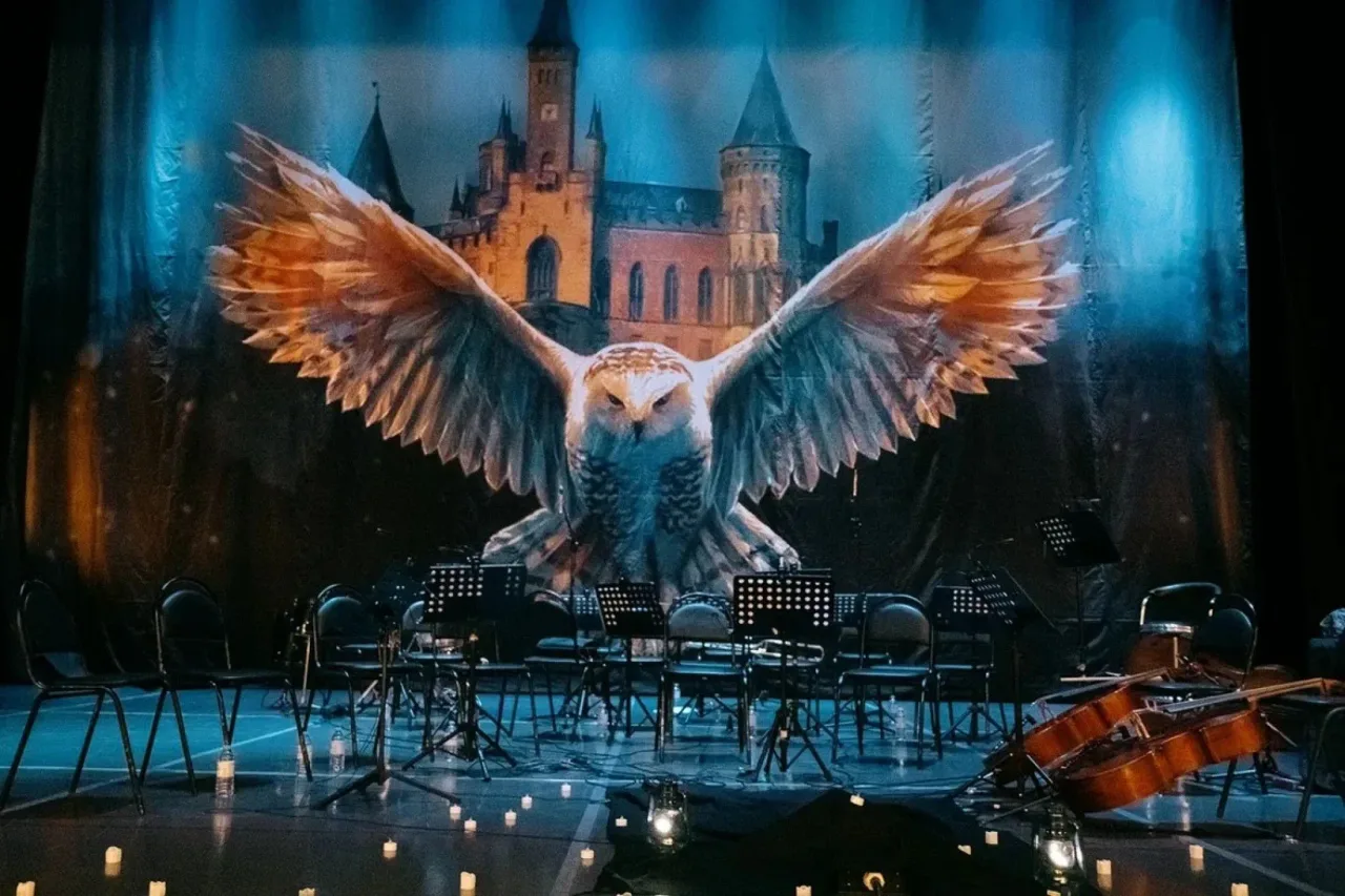 Афиша: Harry Potter. Magic Music в Москве 12 декабря 2026