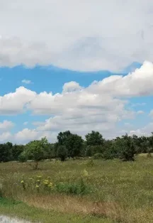Афиша: Патриотический час. Российская деревня в Ростове-на-Дону 19 августа 2026