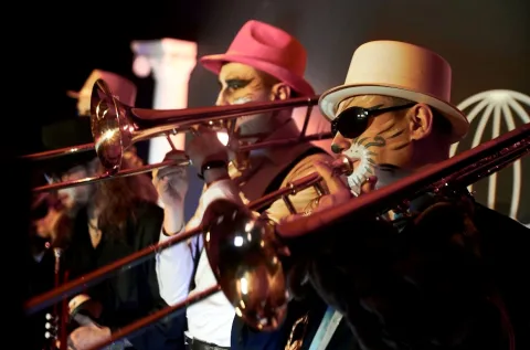 Афиша: Инструментальное шоу «Джаз-коты» от оркестра солистов City Music Band в Санкт-Петербурге 4 октября 2026