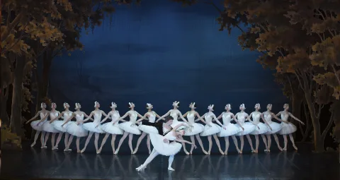 Афиша: Лебединое озеро в Санкт-Петербурге 30 октября 2026