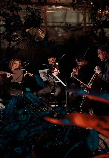 Афиша: МАГИЯ СВЕЧЕЙ. «От Вивальди до Jingle Bells» в Оранжерее в Санкт-Петербурге 30 декабря 2026