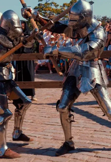 Афиша: На Рыцарский турнир в Выборге из Санкт-Петербурга в Санкт-Петербурге 14 августа 2026