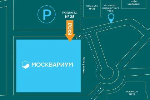 Афиша: Кощей в Москве 19 декабря 2026