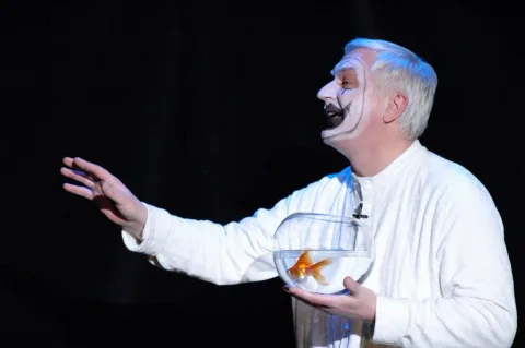 Афиша: Каштанка в Новосибирске 7 октября 2026
