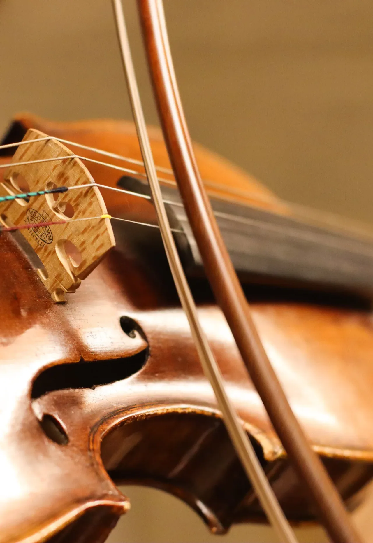 Афиша: VIVALDI. Времена года: Весна • Лето • Осень • Зима в Москве 30 сентября 2026