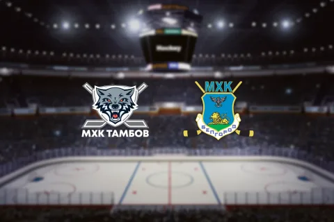 Афиша: МХК Тамбов — МХК Белгород в Мичуринске 11 декабря 2026