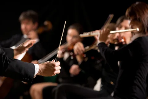 Афиша: Губернаторский симфонический. Французские отражения в Санкт-Петербурге 13 октября 2026