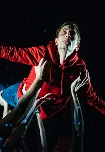 Афиша: Загадочное ночное убийство собаки в Архангельске 17 ноября 2026