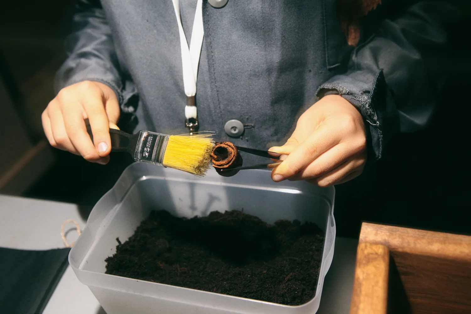 Афиша: Археология в Новосибирске 25 апреля 2026