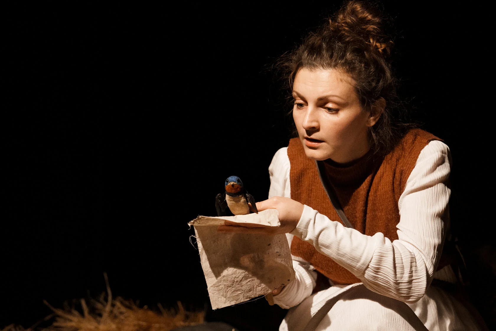 Афиша: Дневник ласточки в Санкт-Петербурге 28 апреля 2026