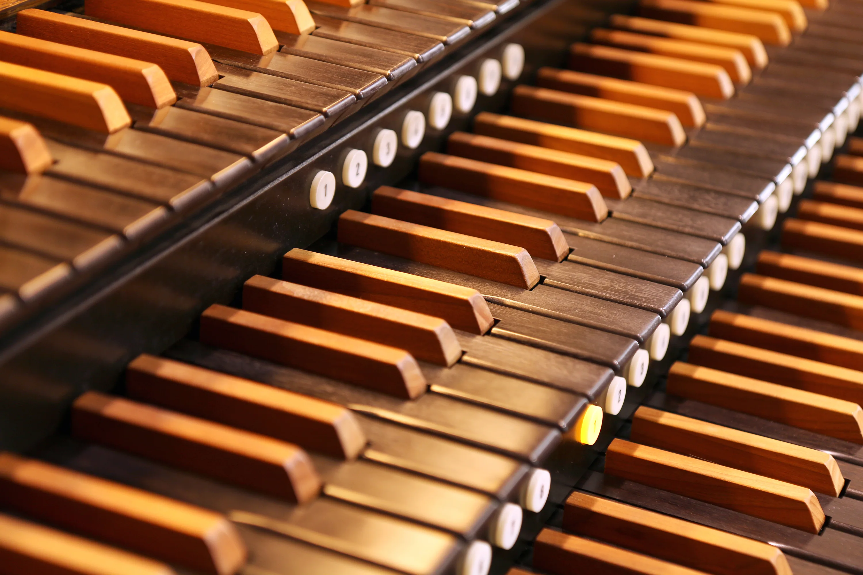 Афиша: Единство гармоний в Санкте-Петербург 11 апреля 2026