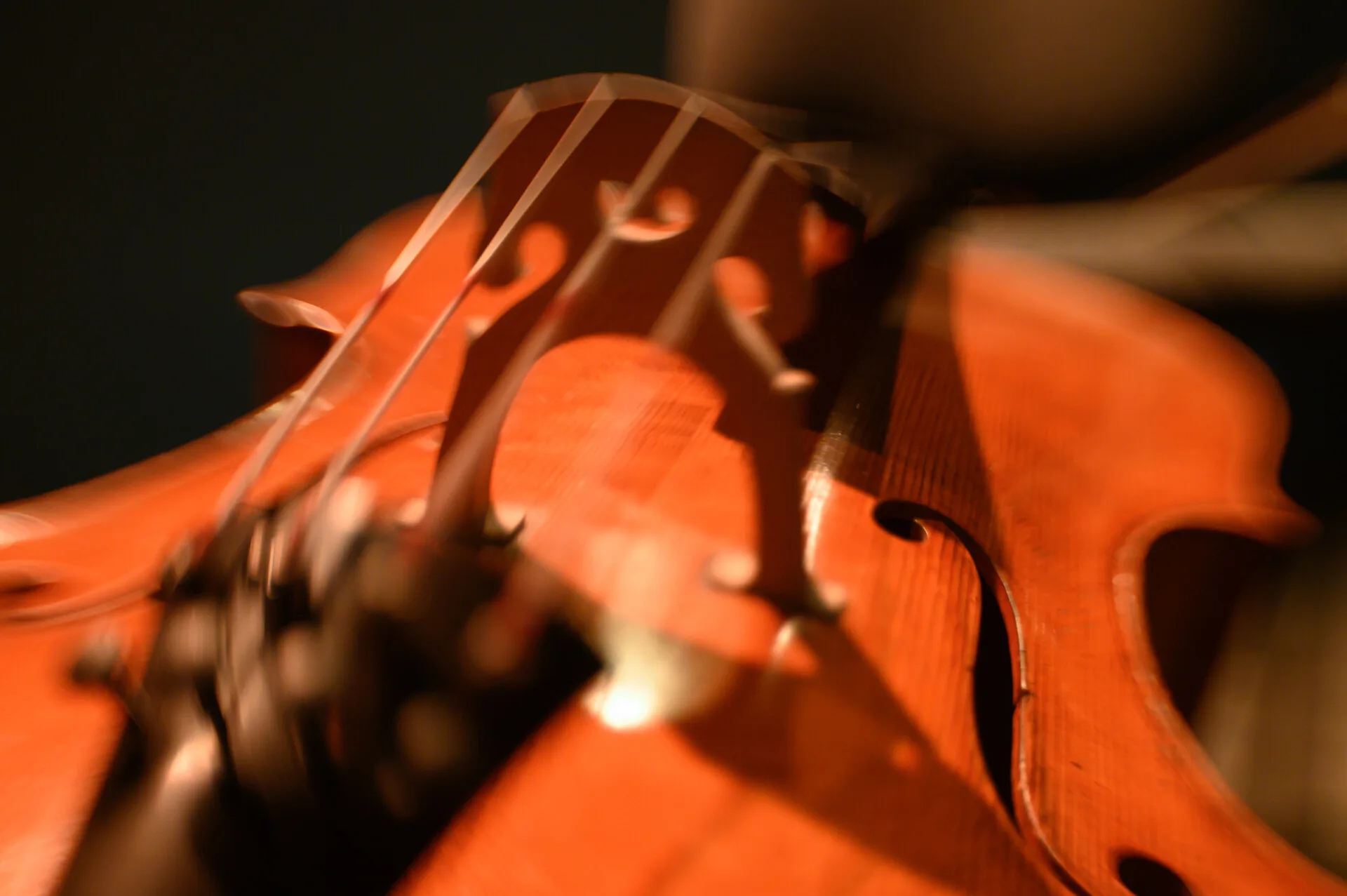 Афиша: Элгар / Сибелиус в Перми 29 апреля 2026