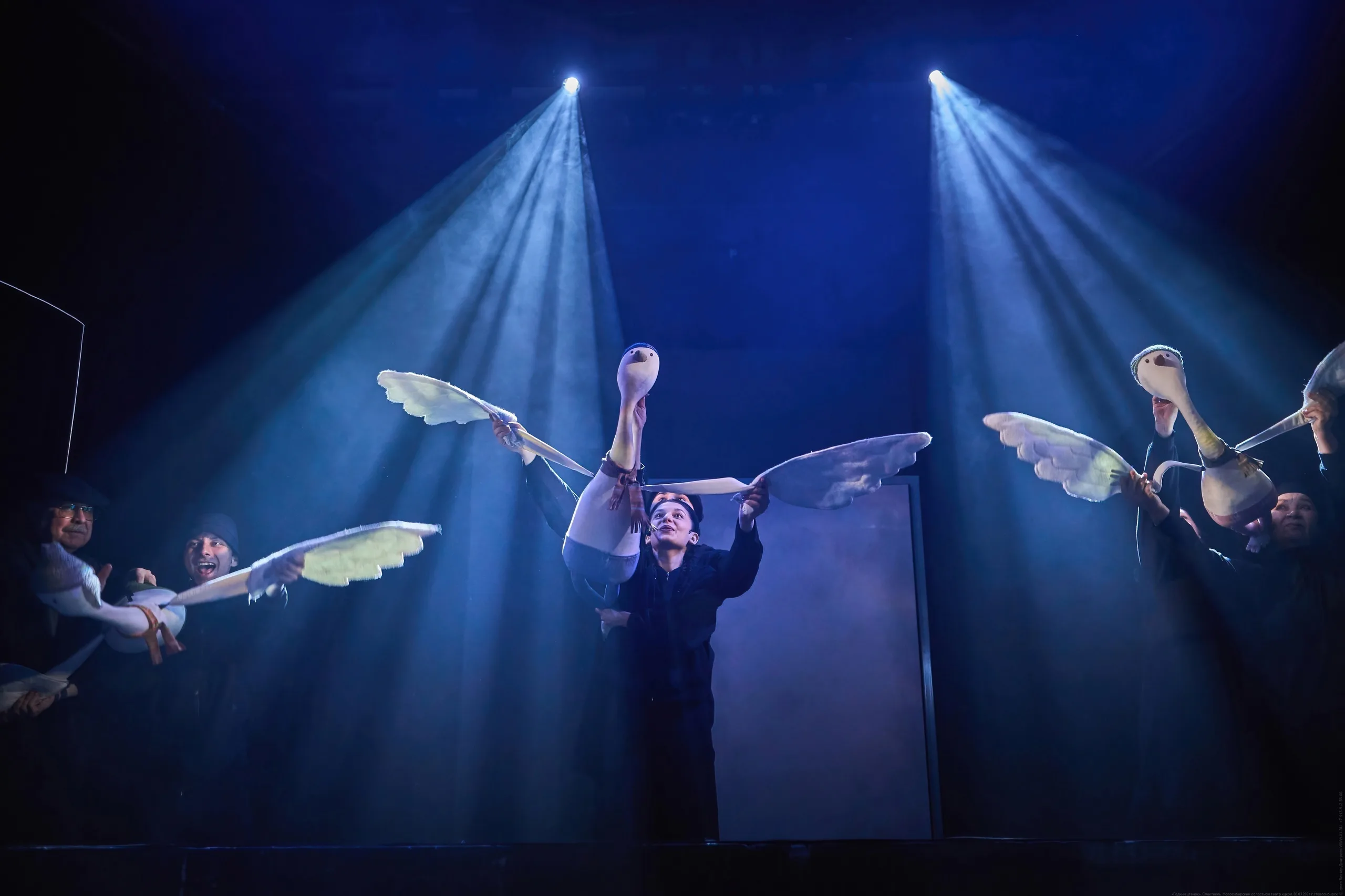 Афиша: Гадкий утёнок в Новосибирске 26 апреля 2026