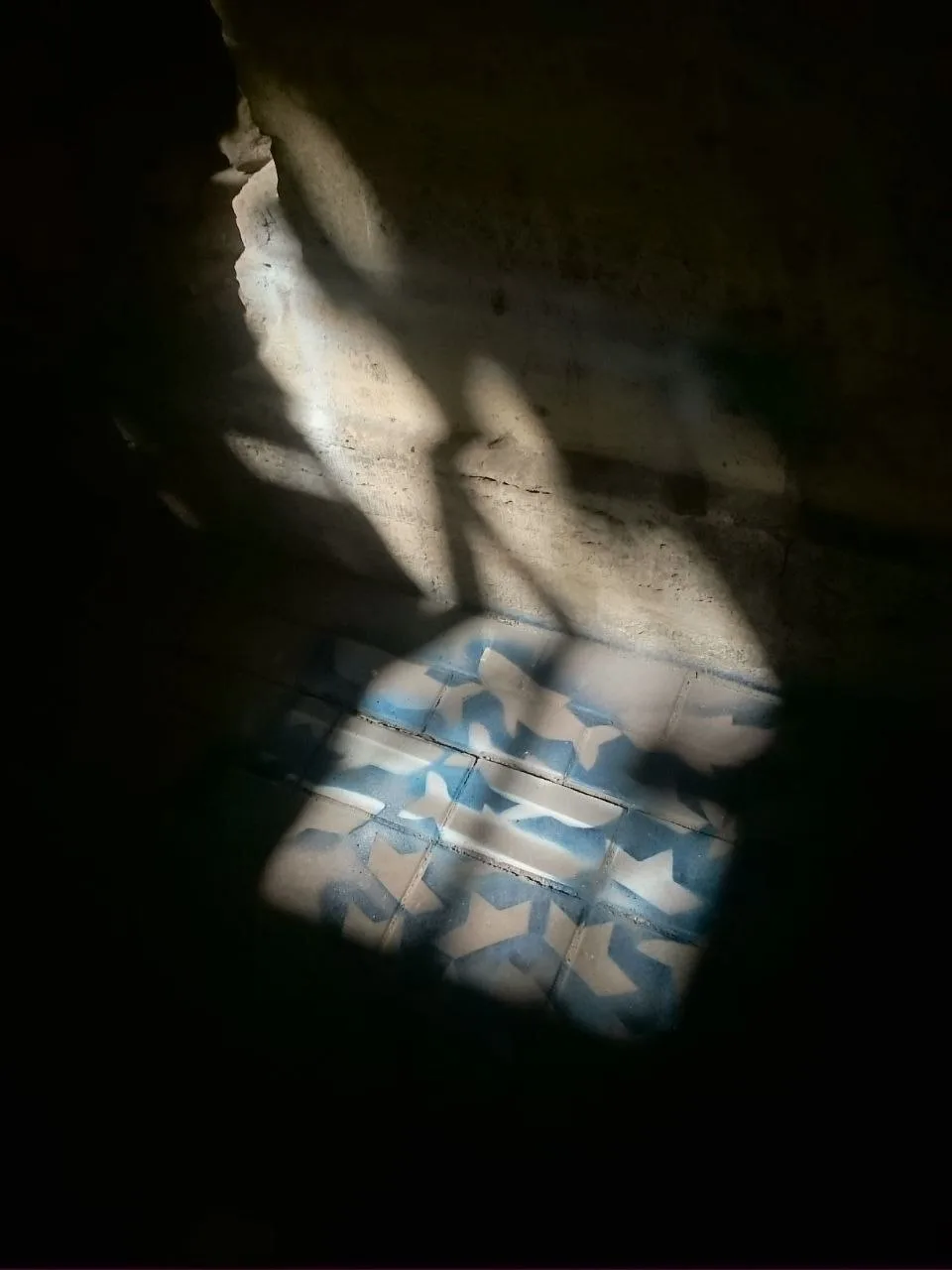 Афиша: Кит и охотник в Владивостоке 9 апреля 2026