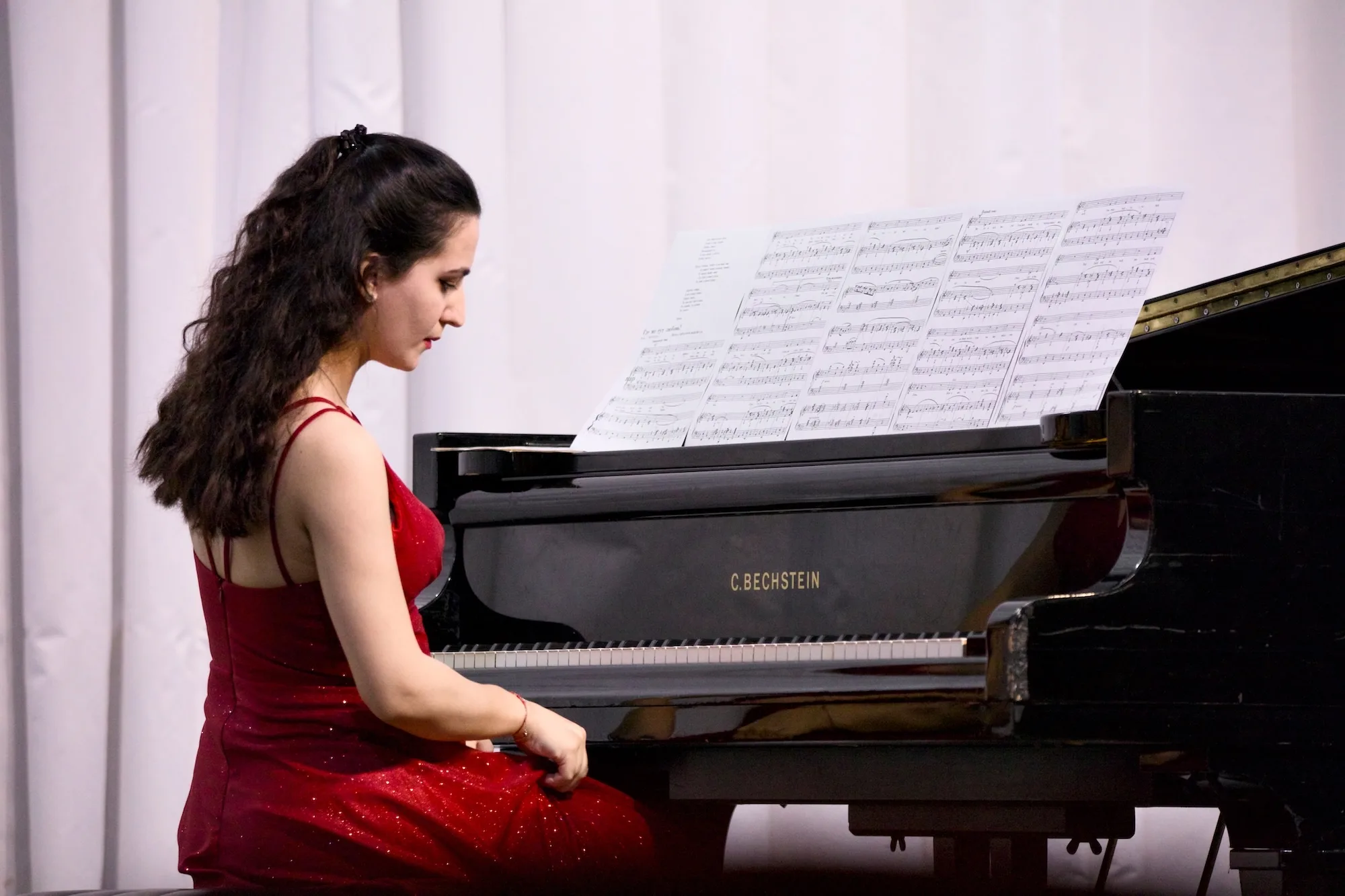 Афиша: Классик-концерт. Шелк и бархат. Тенор и баритон в Ростове-на-Дону 24 апреля 2026