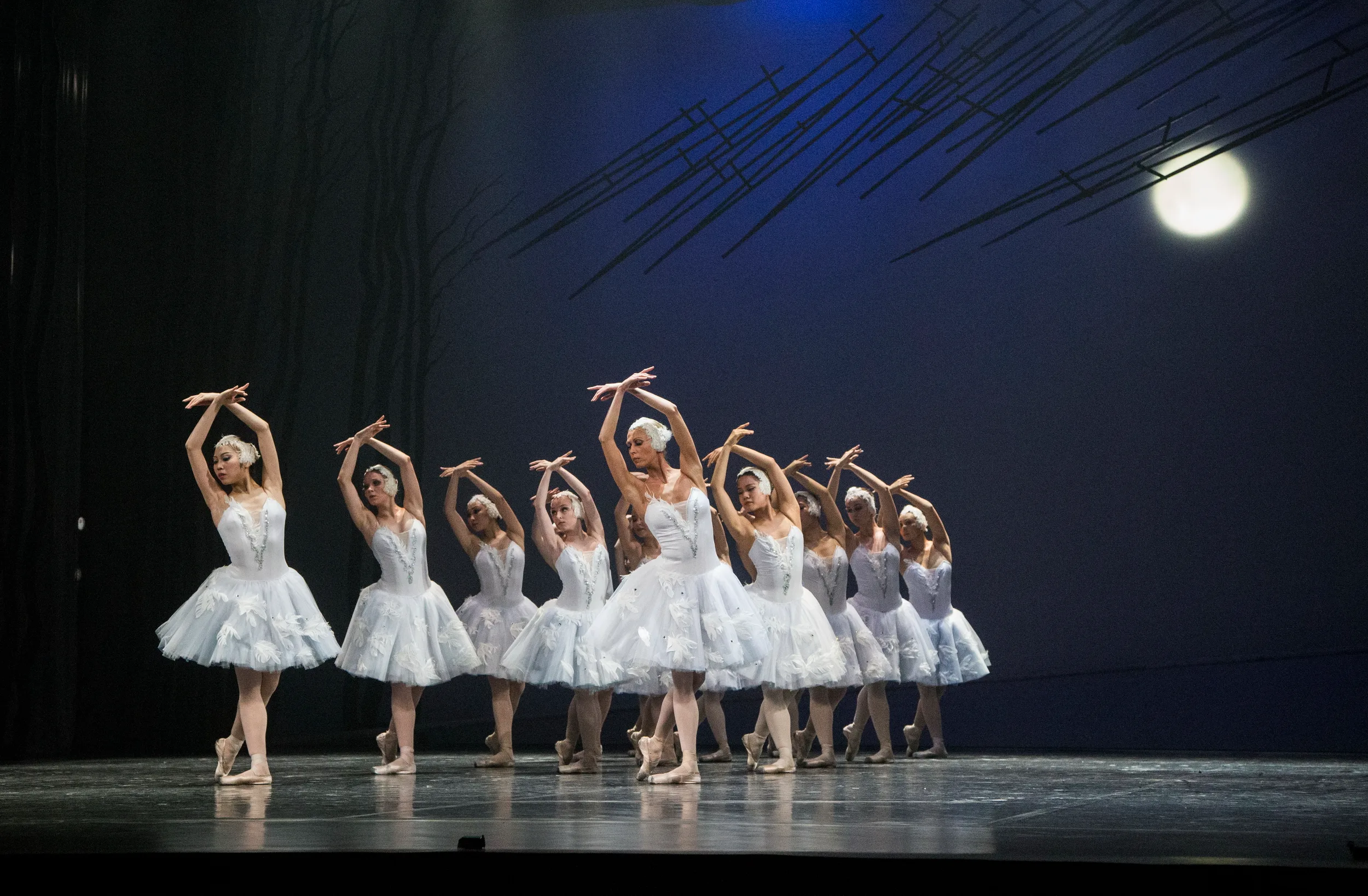 Афиша: Лебединое озеро в Петрозаводске 19 апреля 2026