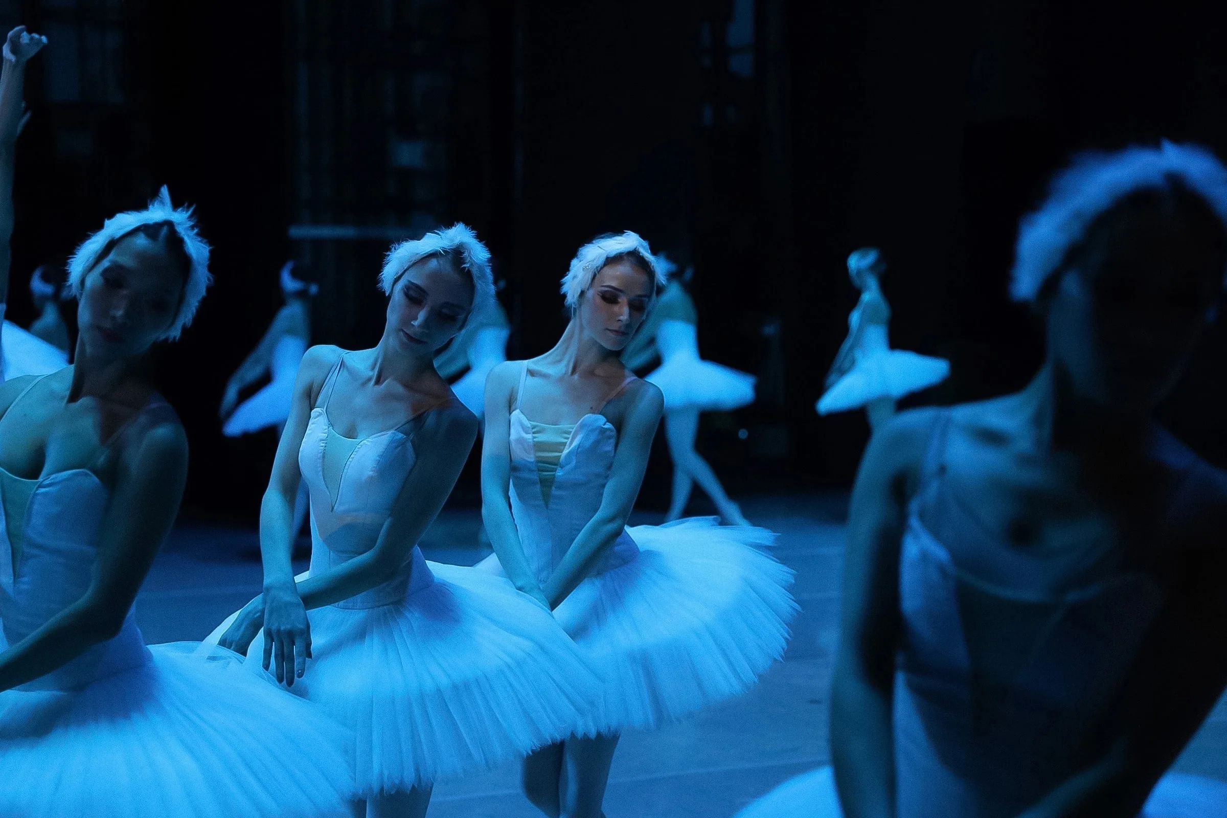 Афиша: Лебединое озеро в Улане-Удэ 29 апреля 2026