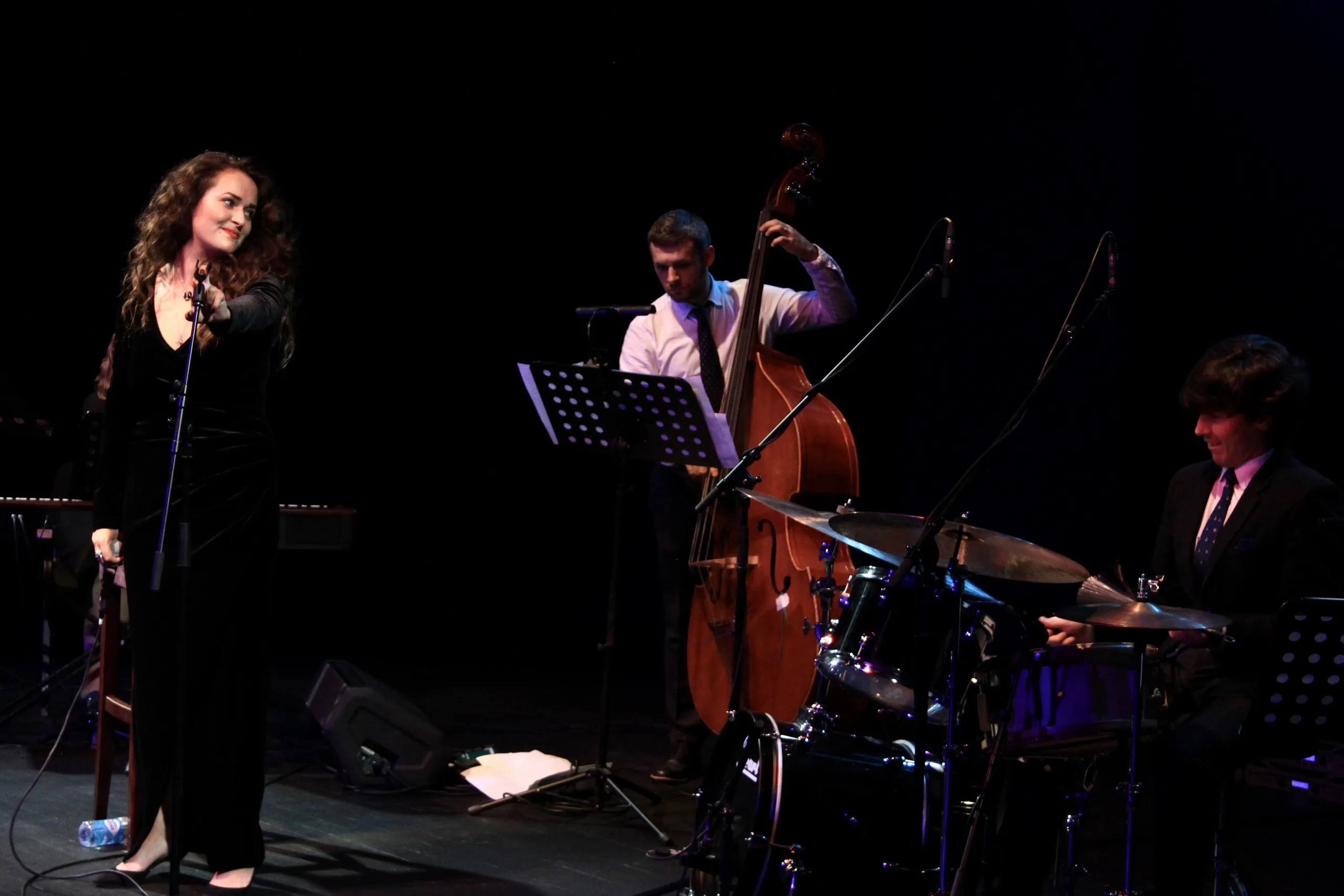 Афиша: Посвящение легендам: От Синатры до Хьюстон в Санкт-Петербурге 26 апреля 2026