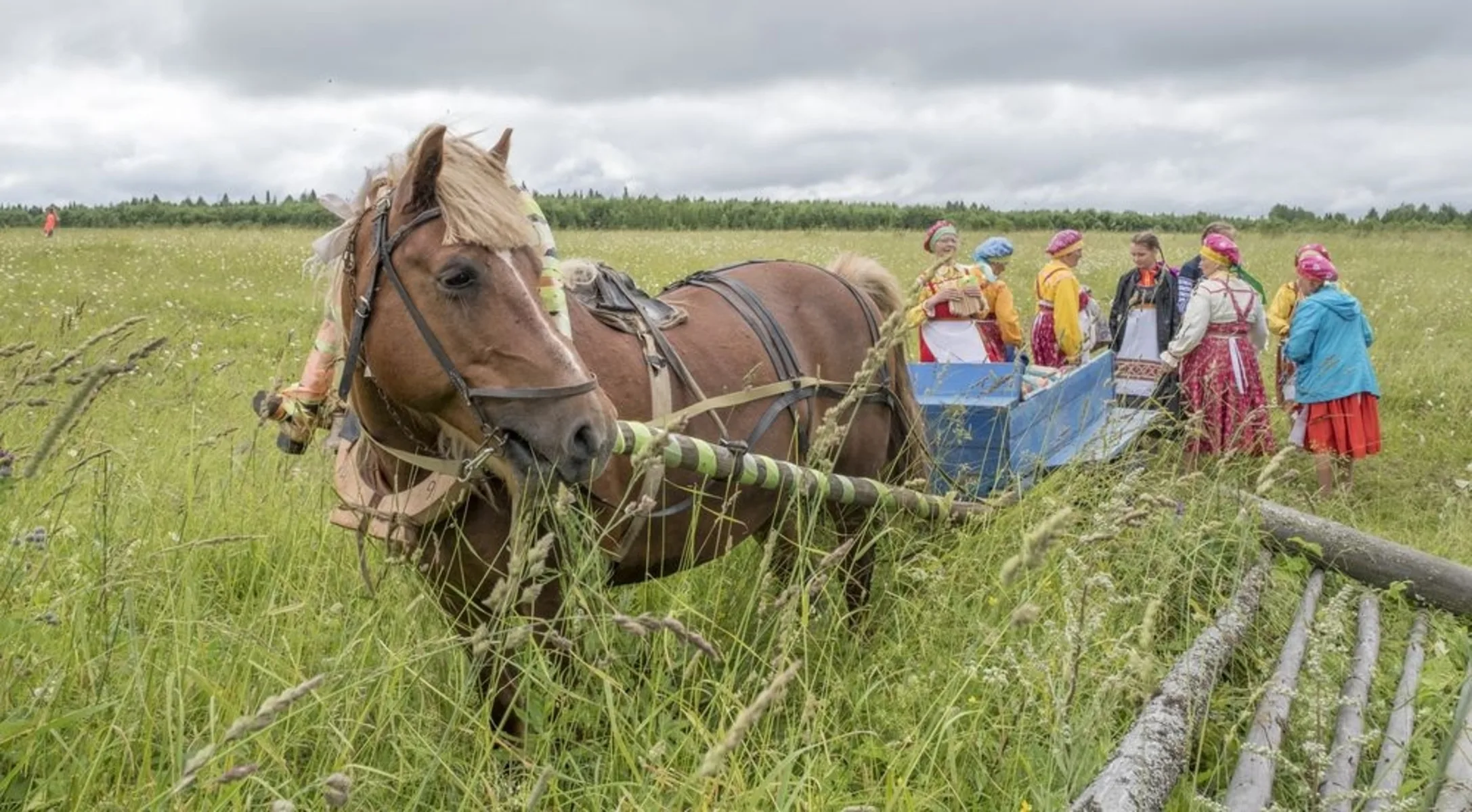 Афиша: Сею-вею, посеваю в Перми 8 апреля 2026