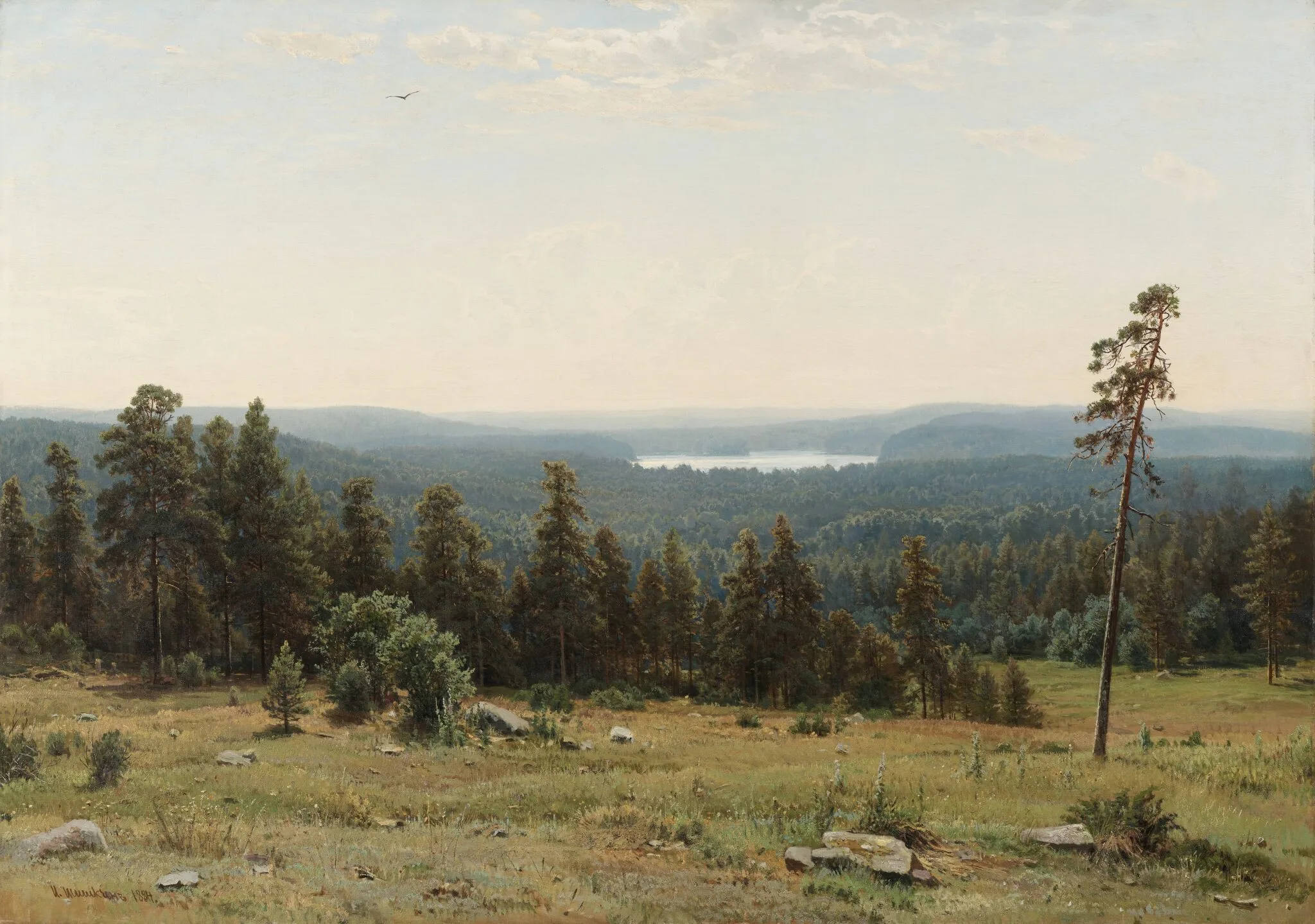 Афиша: В царстве русского леса. Творчество Шишкина в Калининграде 11 апреля 2026