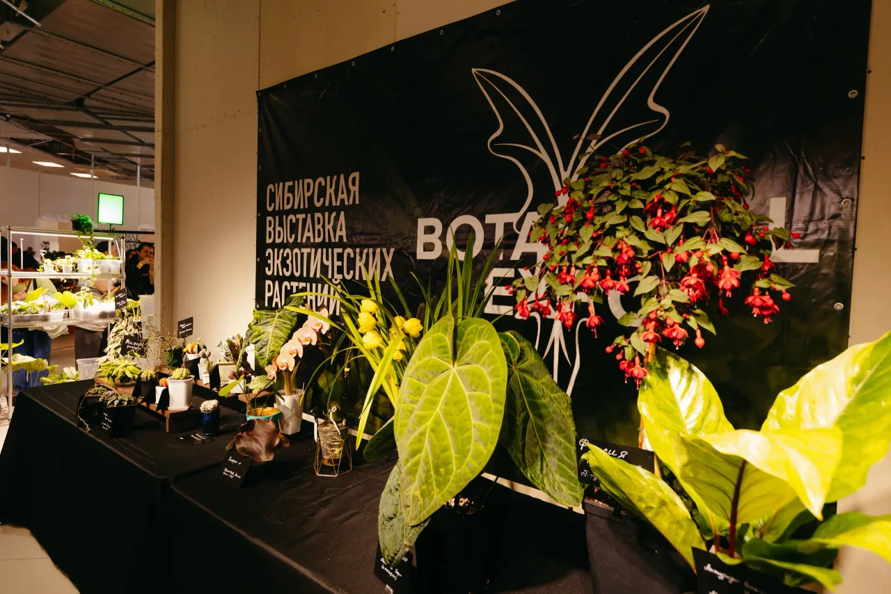 Афиша: Botanical Expo в Новосибирске 1 августа 2026