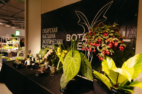Афиша: Botanical Expo в Новосибирске 1 августа 2026