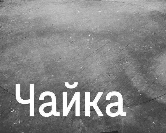 Афиша: Чайка в Краснодаре 20 августа 2026