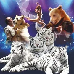 Афиша: Королевство белых тигров в Нижнем Новгороде 1 августа 2026