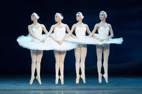 Афиша: Лебединое озеро в Красноярске 29 августа 2026