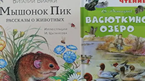Афиша: Литературное ассорти - праздник ума и воображения. Литературная интерактивная викторина в Астрахани 20 августа 2026