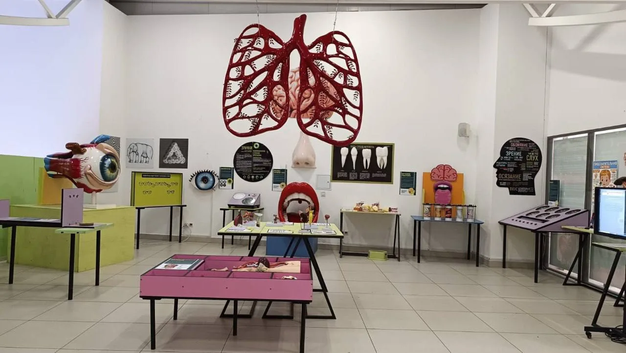 Афиша: Анатомикум в Москве 31 декабря 2026