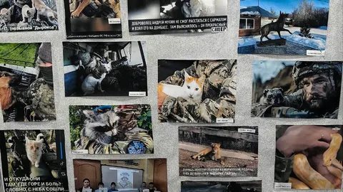 Афиша: Экскурсия «Ангелы Победы» в Волгограде 17 декабря 2026