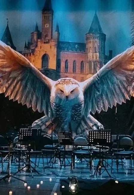 Афиша: Harry Potter. Magic Music в Москве 25 декабря 2026