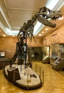 Афиша: Музей естественной истории Татарстана в Казани 12 декабря 2026