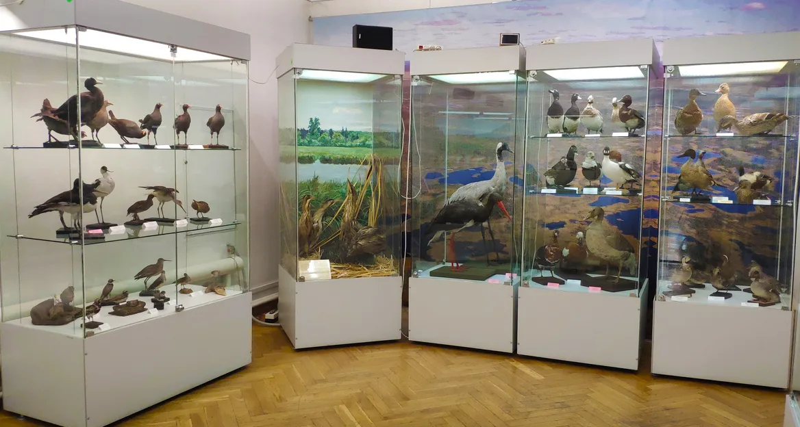 Афиша: Животный мир Томской области в Томске 30 декабря 2026