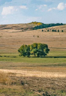 Афиша: Оренбургская область: природа и население степного края. Лекция в Оренбурге 13 января 2026