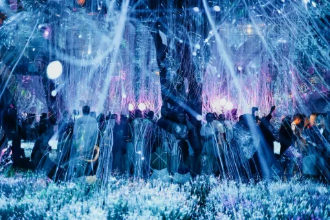 Афиша: Evolution: Prime Era в Москве 31 июля 2026