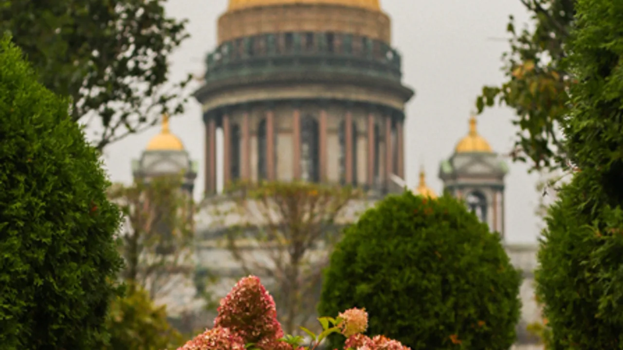Афиша: Фотопрогулка по центру Петербурга: дворы и парадные, легенды и крыша в Санкт-Петербурге 7 июля 2026