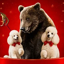 Афиша: Каракат шоу в Саратове 11 июля 2026