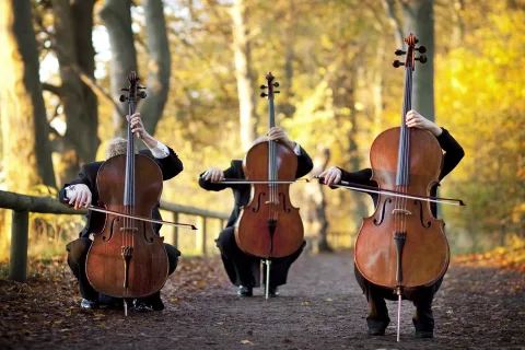 Афиша: Magic Cellos Band. Мировые рок-хиты на виолончелях в Москве 23 июля 2026