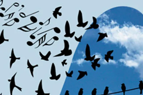 Афиша: Музыка кино в Красноярске 10 июля 2026