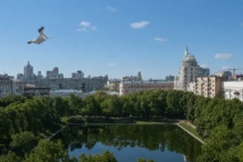 Афиша: Никита Брусиловский. По следам Мастера и Маргариты в Москве 25 июля 2026