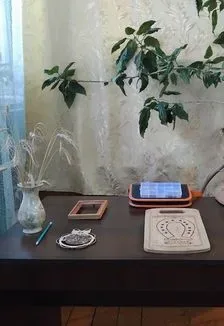 Афиша: Огненная кисть: рисуем светом на дереве. Мастер-класс в Нижнем Новгороде 3 июля 2026