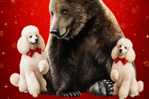 Афиша: Цирк "Каракат-шоу" в Саратове" у ТРЦ "Happy Молл" в Саратове 4 июля 2026